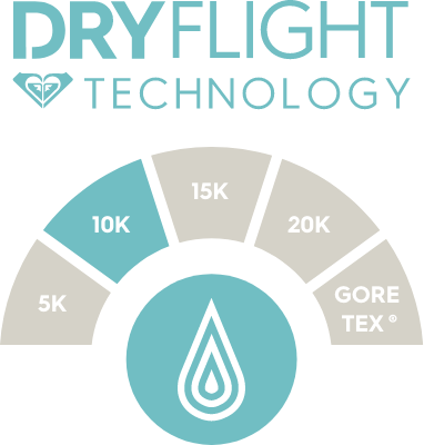 icons/233/dryflight-10k_00.png